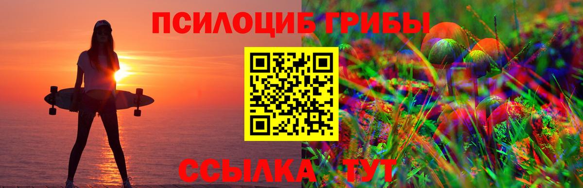 Псилоцибиновые грибы Psilocybine cubensis Сергиев Посад