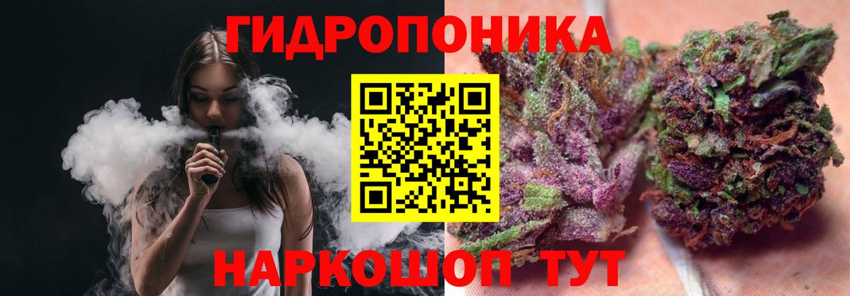 Бошки Шишки гибрид Сергиев Посад